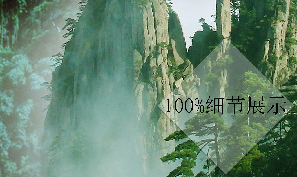 新春走基层丨巧手剪出幸福花